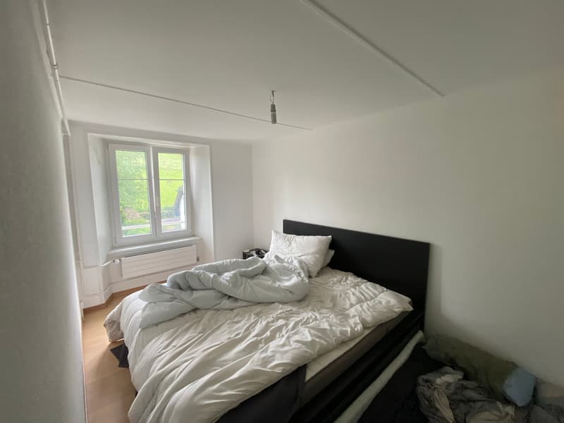 Rental house with 5 apartments, garden and garages (5)