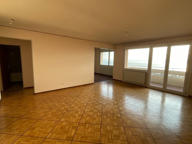 Apartment with 3.5 rooms and breathtaking view of the lake and the Alps (1)