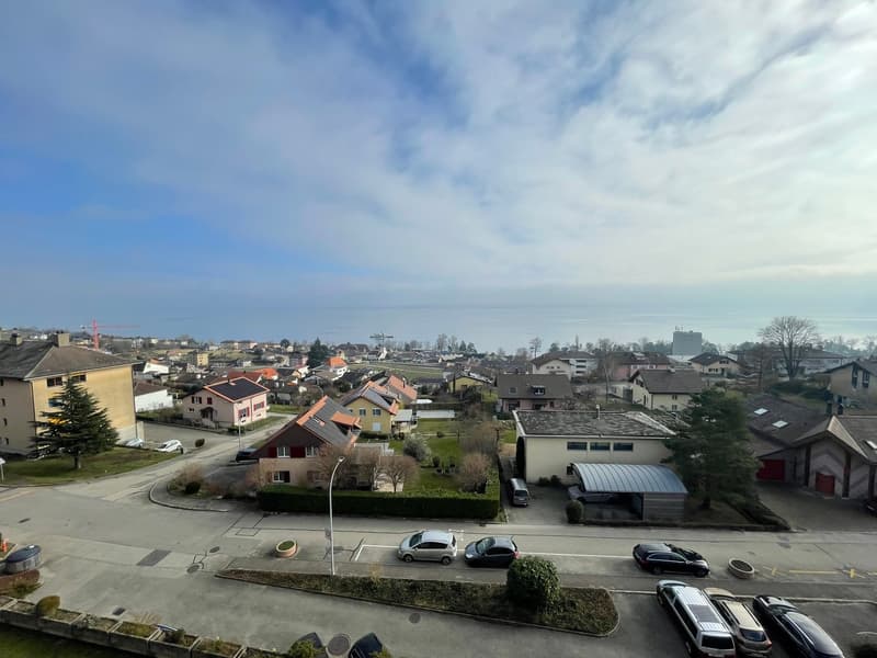 Apartment with 3.5 rooms and breathtaking view of the lake and the Alps (5)