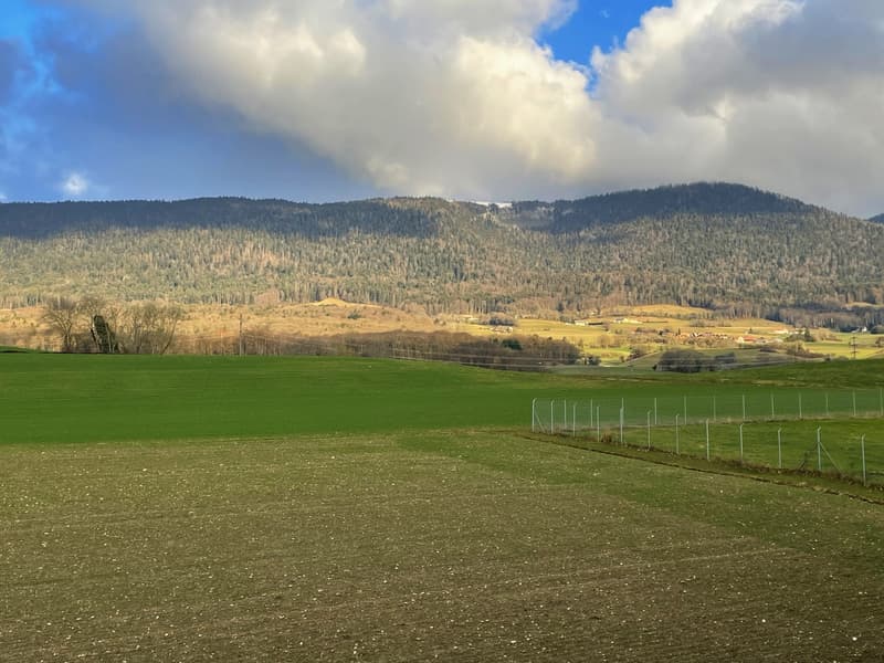 Apartment with 3.5 rooms and breathtaking view of the lake and the Alps (6)