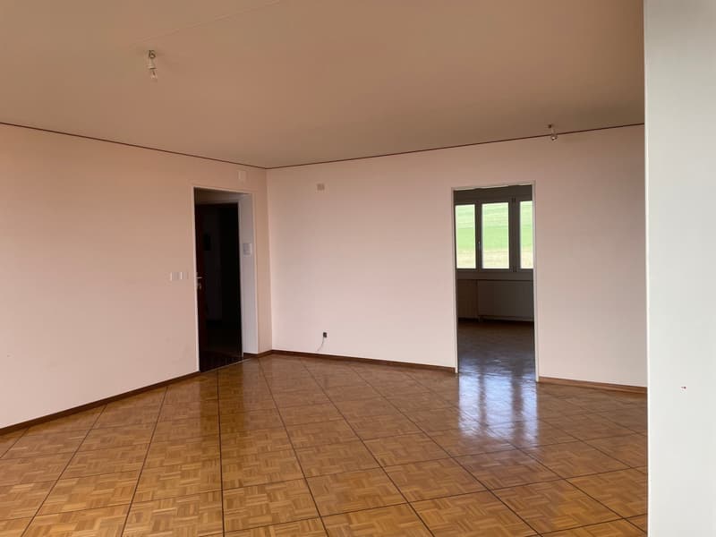 Apartment with 3.5 rooms and breathtaking view of the lake and the Alps (2)