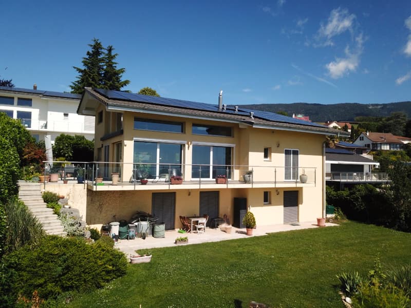 Splendid contemporary house (1)