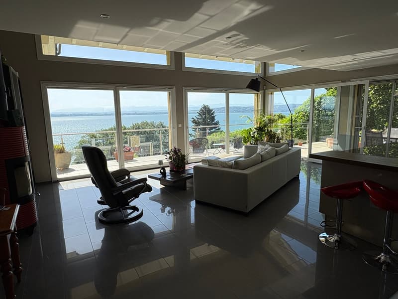 Splendid contemporary house (4)