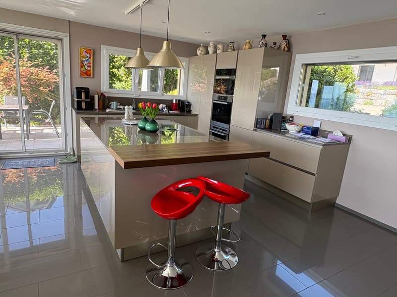 Splendid contemporary house (6)