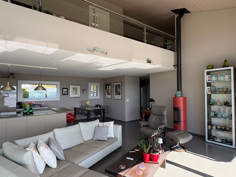 Splendid contemporary house (5)