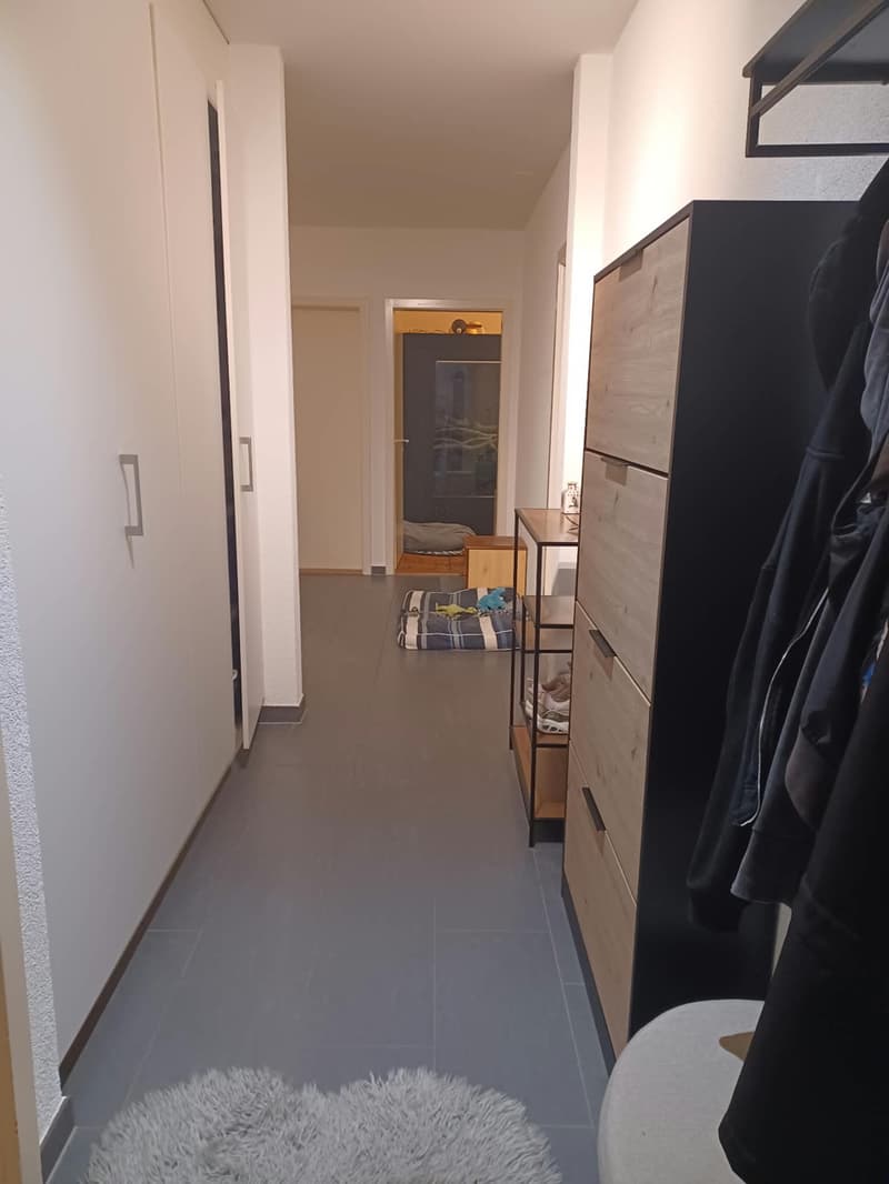 Charmant appartement de 3.5 pièces à Fribourg (5)
