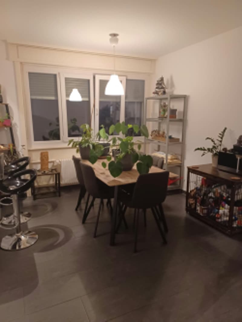Charmant appartement de 3.5 pièces à Fribourg (1)