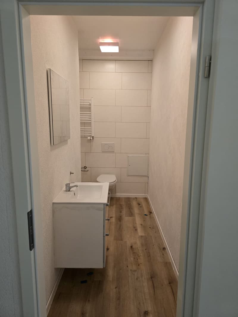 small bathroom with white tiles, a sink, a mirror, a toilet, wooden floor