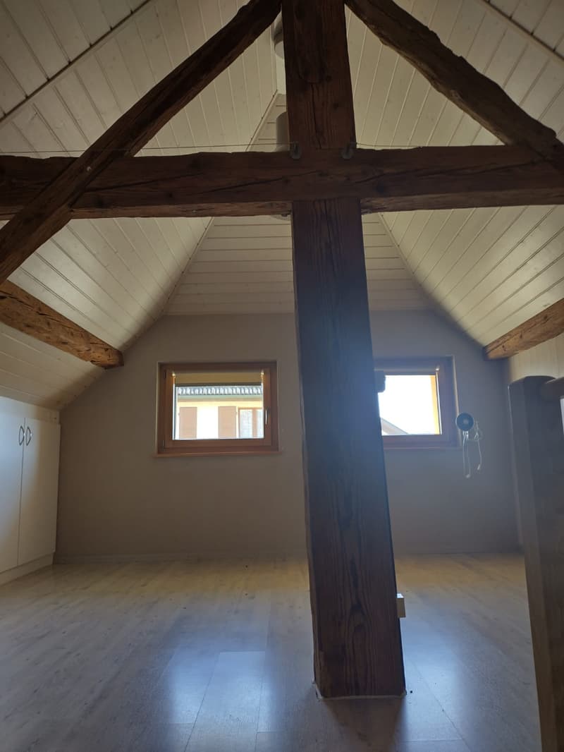 A louer villa mitoyenne à Villars-le-Grand (8)
