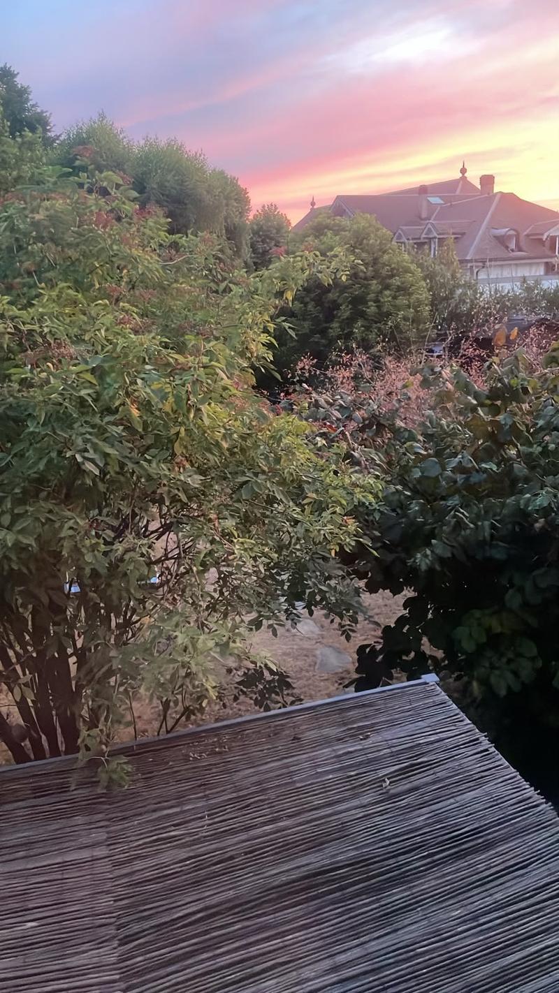 Cudrefin (à deux pas du Lac), très belle villa mitoyenne de 5,5 pièces avec jardin (19)