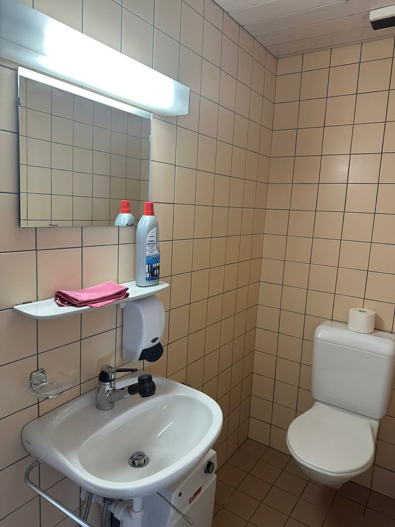 small bathroom with sink, mirror, toilet, and a shelf with cleaning products