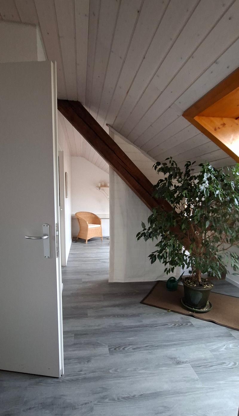 Corridor to living room, wooden floors, white ceiling, wicker chair, wooden beam, large window with view, plant, potted plant