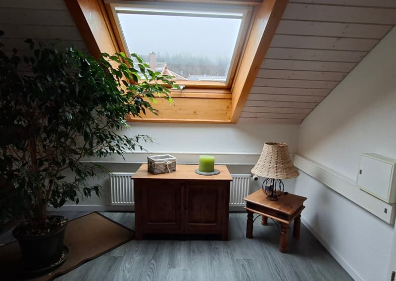 small room with skylight, wooden side table, small plant, candle, small plant pot, brown rug