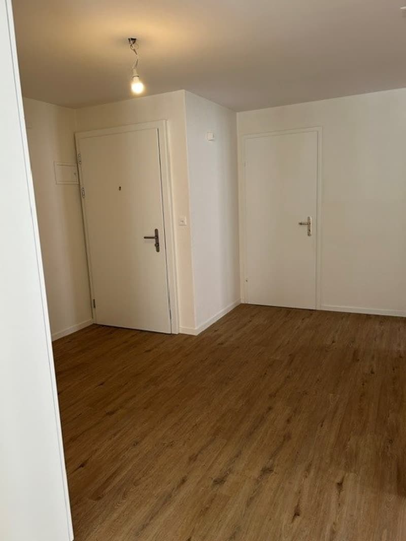 Drei-Zimmer-Wohnung mit viel Licht zur Miete in Pâquier NE (10)
