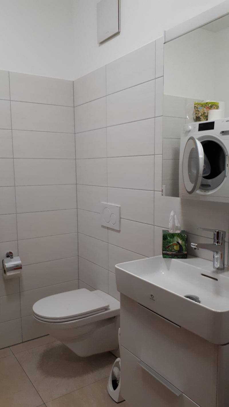 Appartement de 5.5 pièces, 164 m2, à Fenin - WC séparé