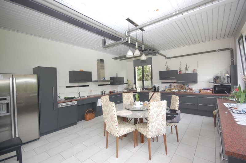 Magnifique maison de 2 grands et lumineux appartements. (7)