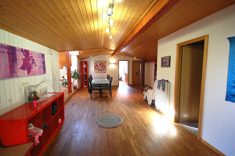 Magnifique maison de 2 grands et lumineux appartements. (12)