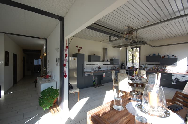 Magnifique maison de 2 grands et lumineux appartements. (6)