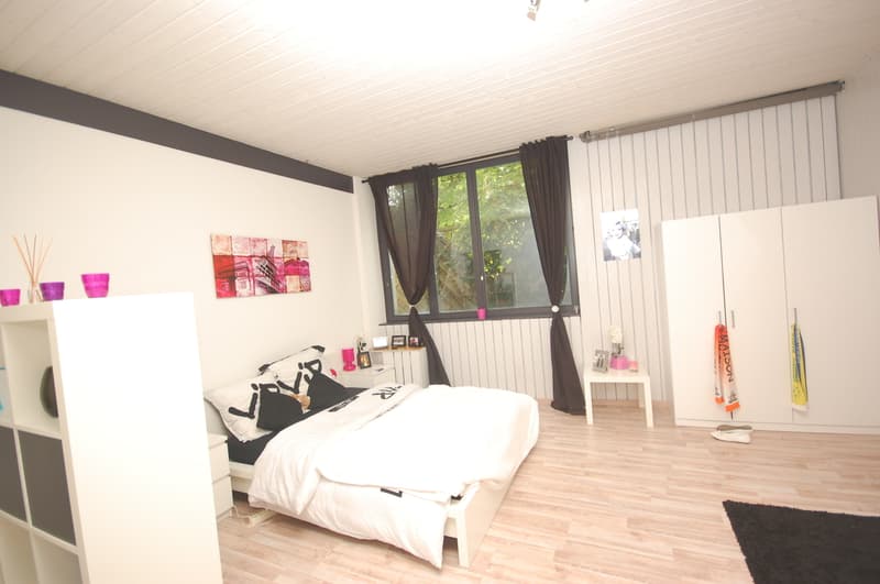 Magnifique maison de 2 grands et lumineux appartements. (8)