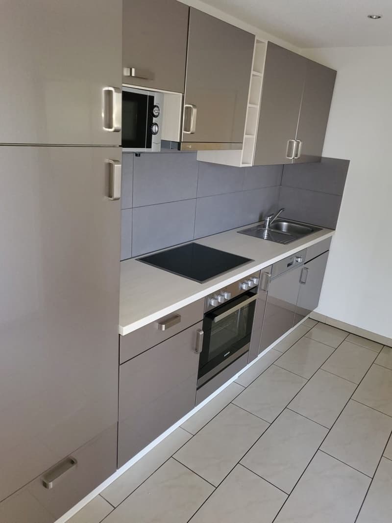 Immeuble de rendement - 7 appartements rénovés à Moutier (2)