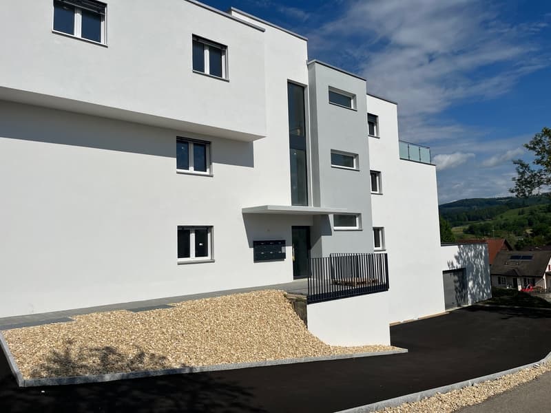 Appartement en attique de 3.5 pièces 103m2 et balcon de 24.1m2 (4)