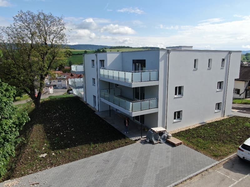 Appartement en attique de 3.5 pièces 103m2 et balcon de 24.1m2 (5)