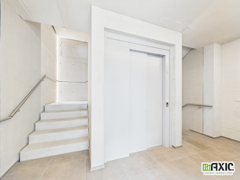 A vendre!!! 2 Magnifiques Attiques de 3.5 pièces en PPE. (13)