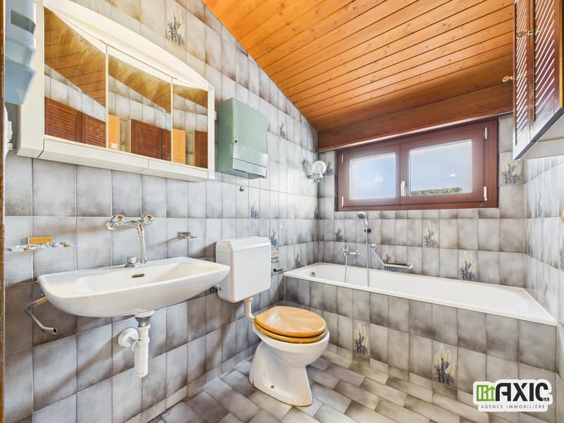 BAISSE DE PRIX -  Maison de charme  à rénover avec grand terrain. (13)