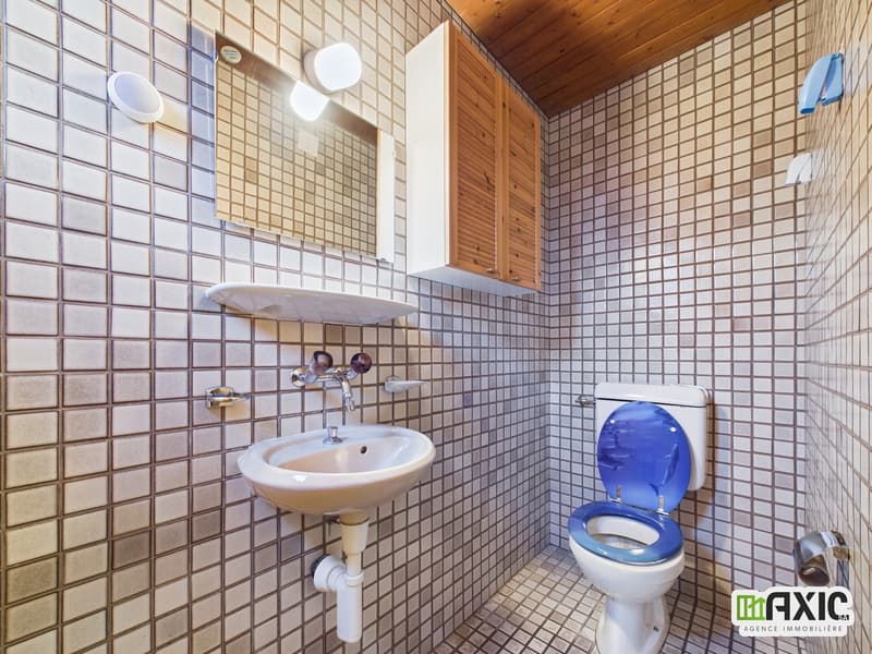 BAISSE DE PRIX -  Maison de charme  à rénover avec grand terrain. (8)