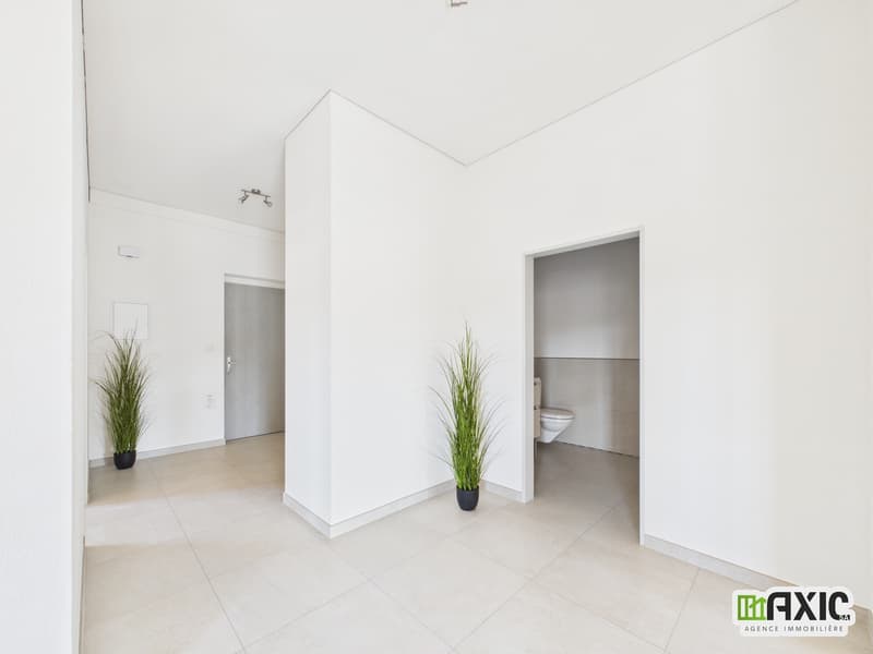 Spacieux duplex de 4 pièces en PPE au 2e étage à Alle (11)
