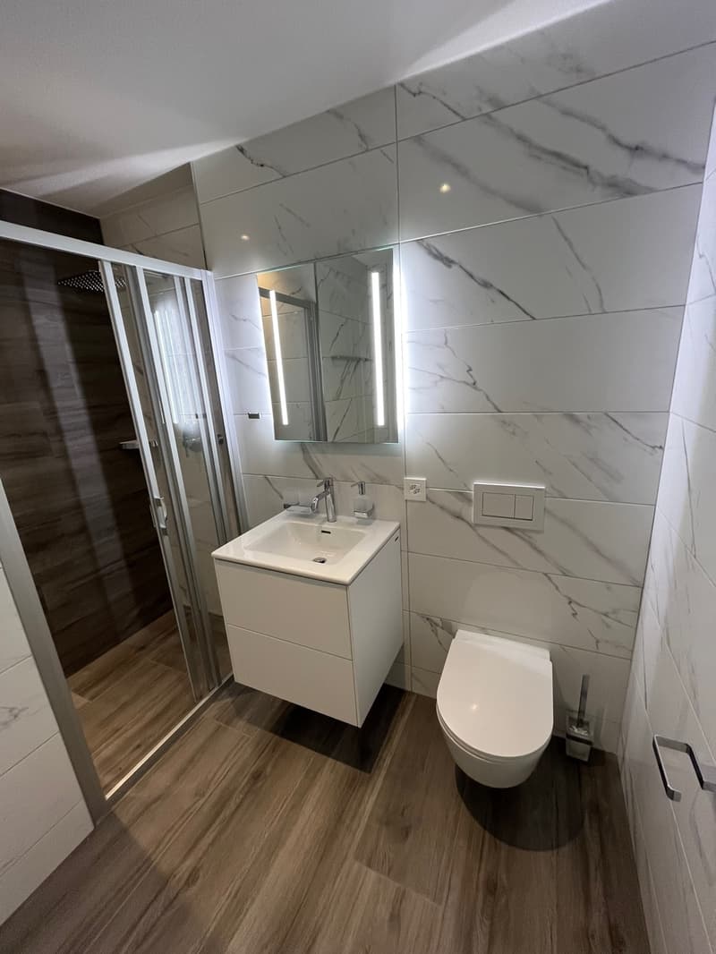 Salle de douche, WC, lavabo