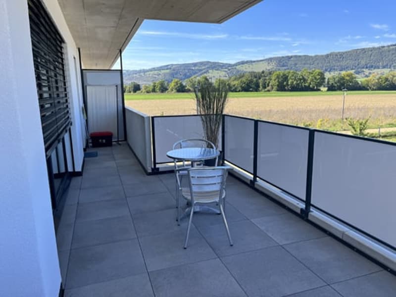 Magnifique appartement de 4,5 (18)