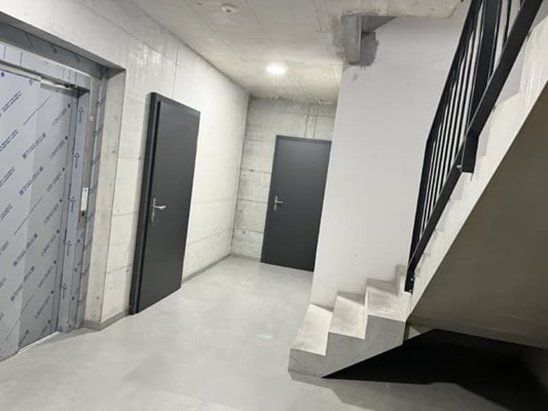 Magnifique appartement de 4,5 (21)