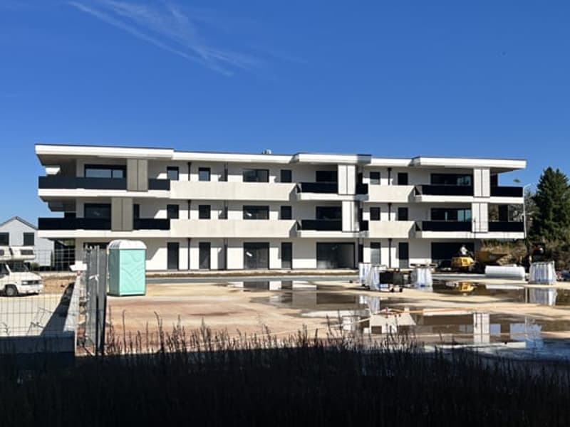 Magnifique appartement de 4,5 (24)