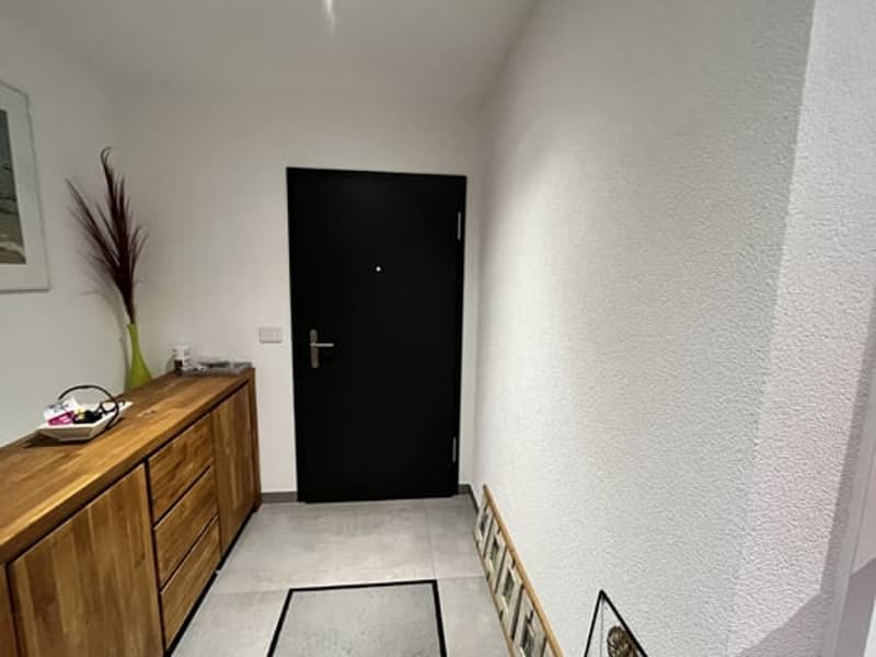 Magnifique appartement de 4,5 (9)