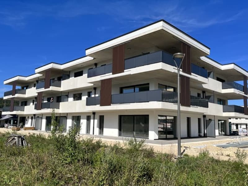 Magnifique appartement de 4,5 (3)