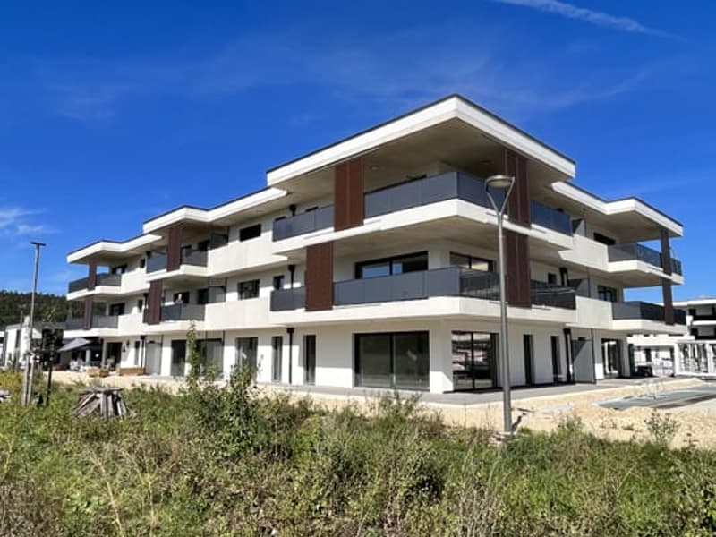 Magnifique appartement de 4,5 (1)