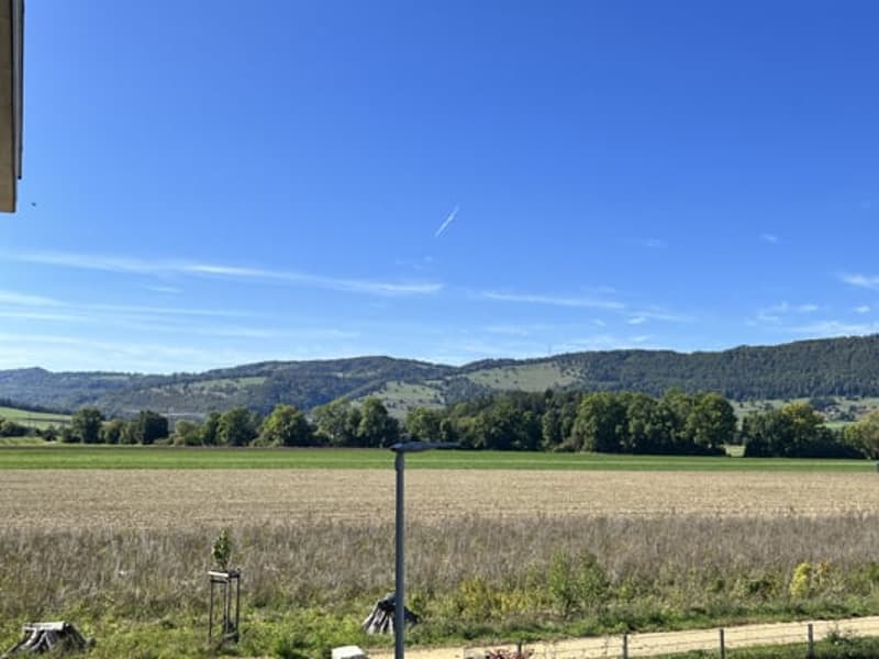 Magnifique appartement de 4,5 (20)