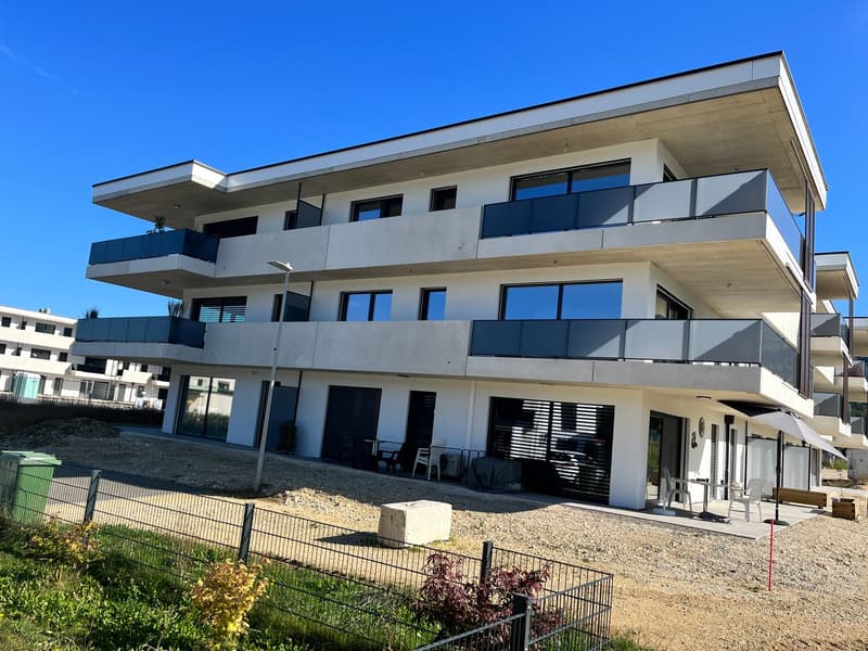 Magnifique appartement de 4,5 (4)