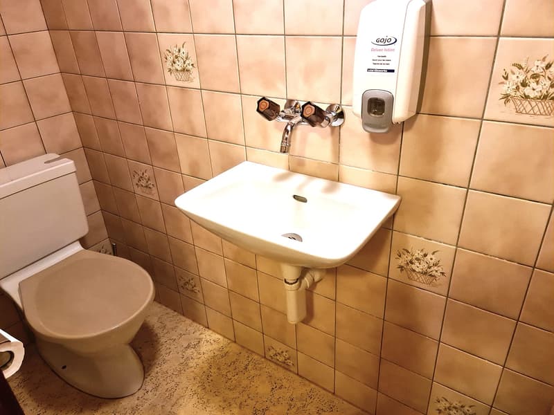 LARGE PRICE REDUCTION - MYTHICAL AND VERY FREQUENTED HOTEL/RESTAURANT IN DELÉMONT (34)