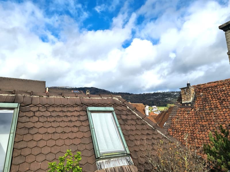 LARGE PRICE REDUCTION - MYTHICAL AND VERY FREQUENTED HOTEL/RESTAURANT IN DELÉMONT (47)