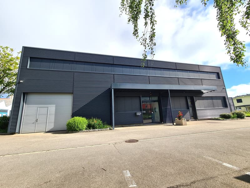 Very interesting industrial building or renovated for another use in 2019 (6)