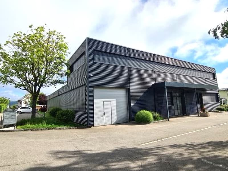 Very interesting industrial building or renovated for another use in 2019 (7)