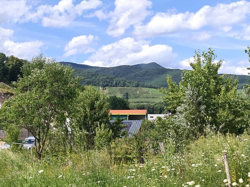 Splendide et spacieuse villa de très haut standing avec surface artisanale ou à autre usage (15)