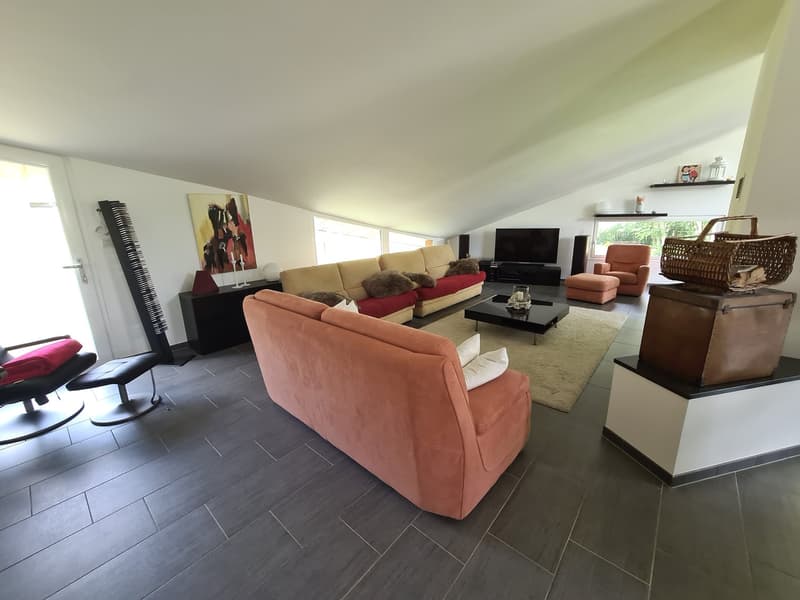 Splendide et spacieuse villa de très haut standing avec surface artisanale ou à autre usage (17)