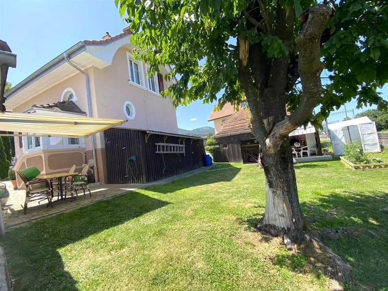 Main house with beige walls, large windows, terrace with outdoor dining set, shed with metal fence, grassy yard, small wooden house in the background, additional storage shed in the yard, tree in front
