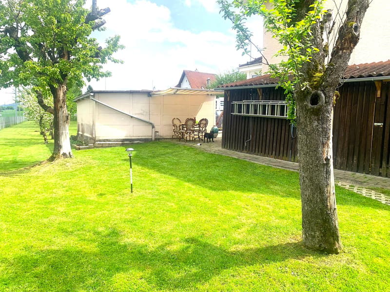 Green lawn, table with chairs, trees, small pathway, wooden building, grassy area, trees on the side of the lawn
