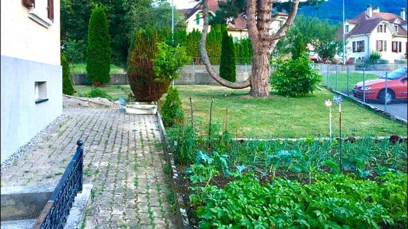Garden with plants and vegetables, paved path, metal railing, trees, shrubs, small pond, surrounding buildings, car parked outside fence.