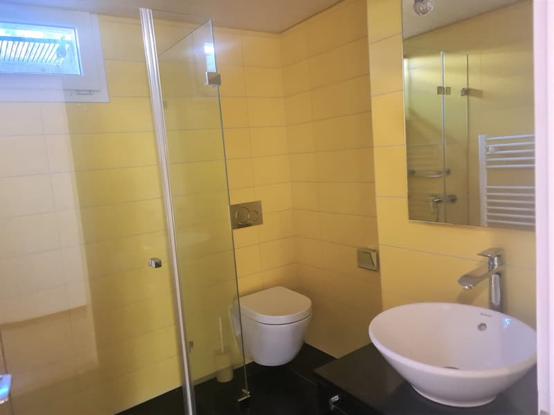 Bathroom with yellow tile walls, glass shower enclosure, toilet, and a sink with a vanity