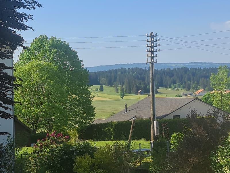 The image shows a scenic rural landscape with rolling hills, lush green trees, and a power line pole in the foreground. In the background, there are more hills and forests, creating a picturesque countryside setting.